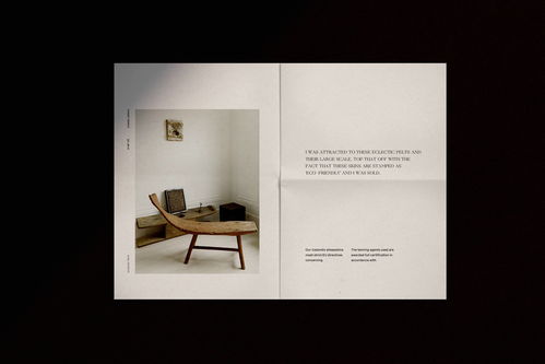 融合自然与室内 BSWL品牌形象设计在平面设计中的创新表达