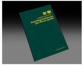 石家庄专业设计服务 从品牌形象到视觉传达的一站式解决方案